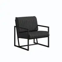 17 Stories Modern Fashion Armchair with Metal Frame for Living Room