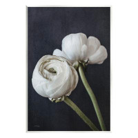 Stupell Industries Modern Ranunculus Flower Blossom Arrangement White Petals Wall Plaque Art By Jennifer Rigsby