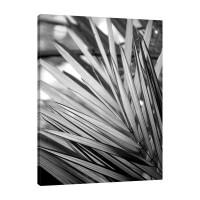 Jaxson Rea "Metal BW Plant 2" Gallery Wrapped Canvas By Kimberly Allen