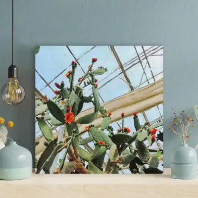 Dakota Fields Green Cactus Plant With Flowers - 1 Piece Square Graphic Art Print On Wrapped Canvas
