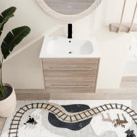 Ebern Designs Demelo 24" Single Sink Wall Mounted Bathroom Vanity, Floating with 2 Drawers and Resin Basin Sink Top