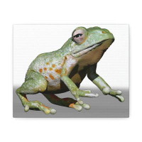 Winston Porter Frog Stretched Canvas