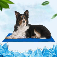 Tucker Murphy Pet™ Dog Cooling Mat, No Water Or Refrigeration Needed Pet Cooling Mat For Dogs And Cats