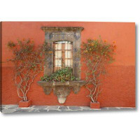 World Menagerie Mexico, San Miguel De Allende Window and Plants by Don Paulson - Photograph Print on Canvas