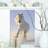 East Urban Home Farmhouse 'White Horse Run Gallop in Winter' Photographic Print on Wrapped Canvas