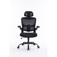 Tryimagine Ergonomic Mesh Office Chair With 3D Adjustable Lumbar Support, High Back Desk Chair With Flip-Up Arms, Execut