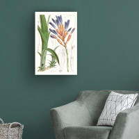 Bay Isle Home™ Curtis  'Tropical Plants I' Canvas Art
