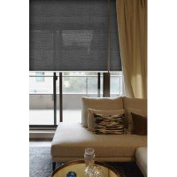 Symple Stuff Transparent Chainless Roller Shade