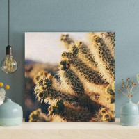 Foundry Select Cactus Plant 19 - 1 Piece Square Graphic Art Print On Wrapped Canvas