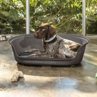 Tucker Murphy Pet™ Tucker Murphy Pet™ Plastic Medium Dog Bed with Cushion