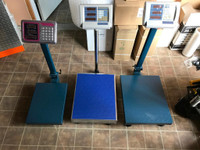 Brand New Bench Scale 220lbs - 660lbs