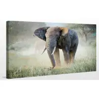 Made in Canada - Picture Perfect International 'Elephant' Photographic Print on Wrapped Canvas