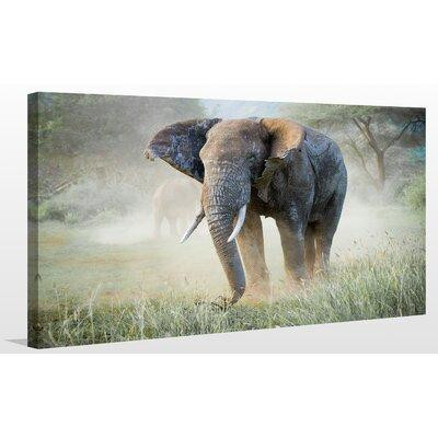 Made in Canada - Picture Perfect International 'Elephant' Photographic Print on Wrapped Canvas in Arts & Collectibles