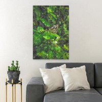 Red Barrel Studio Black And White Butterfly On Green Leaf Plant During Daytime - 1 Piece Rectangle Graphic Art Print On