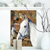 East Urban Home Farmhouse 'White Horse Head' Photographic Print on Wrapped Canvas