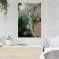 Foundry Select Selective Focus Photography Of Green Cactus Plant - 1 Piece Rectangle Graphic Art Print On Wrapped Canvas
