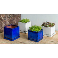 Campania International I/O Series 6-Piece Glazed Terracotta Pot Planter Set