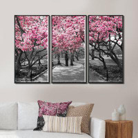Ebern Designs Cherry Blossoms - Floral Framed Canvas Wall Art Set Of 3