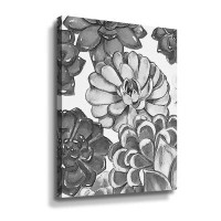 Dakota Fields Charcoal Grey Monochrome Watercolor Succulent Plants Wall Garden V Gallery Wrapped