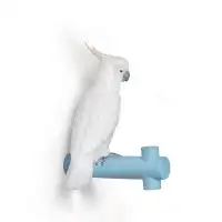 Lladro The Parrot Party Porcelain Wall Hook in White/Blue