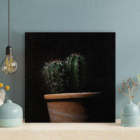 Foundry Select Green Cactus Plant 61 - 1 Piece Square Graphic Art Print On Wrapped Canvas