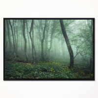 East Urban Home 'Trail Through Dark Foggy Forest' Framed Photograph on Canvas