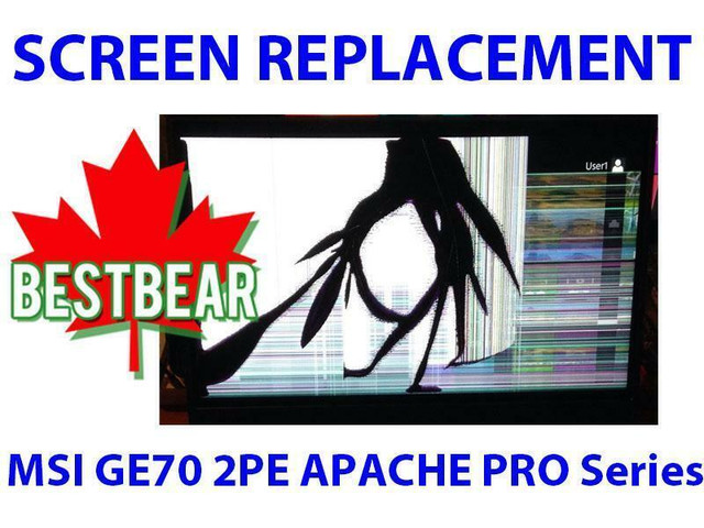 Screen Replacement for MSI GE70 2PE APACHE PRO Series Laptop in System Components in Toronto (GTA)