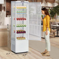 Zstar Commercial Cake Display Refrigerator