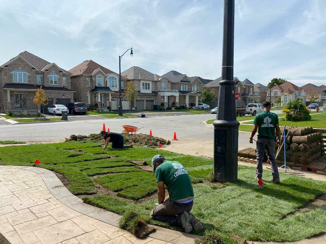 Sod Installation 2024 / New Lawn / Free Estimates, Removal and Install, Green Grass, New Grass, Book Now! in Plants, Fertilizer & Soil in Oshawa / Durham Region - Image 4