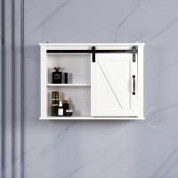 Gracie Oaks Bathroom Wall Cabinet With 2 Adjustable Shelves