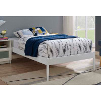BSD National Supplies Villa White Twin Size Metal Bed Frame