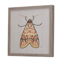 August Grove Moth I