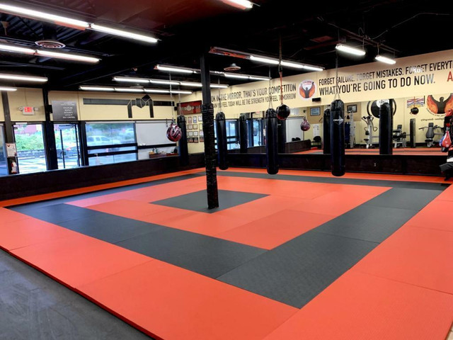 Judo mats , Ju jitsu Mats  ijf, ibjjf approved in Exercise Equipment - Image 4