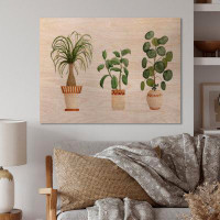 Bay Isle Home™ Trio Of House Plants Ponytail Palm And Ficus - Traditional Wood Wall Art - Natural Pine Wood