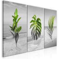Bay Isle Home™ Stretched Canvas Botanical Art - Plants