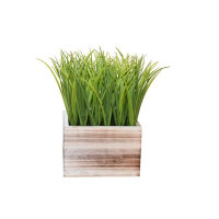 Primrue 9.5" Faux Grass Plant In Shabby White Washed Wood Planter