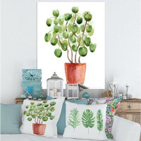 East Urban Home Chinese Money Plant In Pot - Traditional Canvas Wall Art Print PT35478