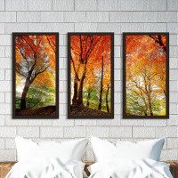 Made in Canada - Charlton Home Prism of Light - 3 Piece Picture Frame Photograph Print Set on Acrylic