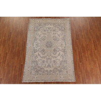 Isabelline Distressed Tabriz Persian Design Area Rug Hand-Knotted 6X9