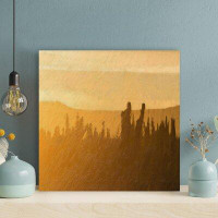 Foundry Select Silhouette Of Plants During Golden Hour - 1 Piece Square Graphic Art Print On Wrapped Canvas