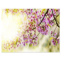 Design Art Blooming Cherry Flowers - Wrapped Canvas Photograph Print