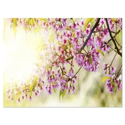 Design Art Blooming Cherry Flowers - Wrapped Canvas Photograph Print