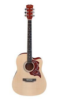 Acoustic Guitar for Beginners Adults Students Intermediate players 41-inch full-size Dreadnought SPS371PG with package