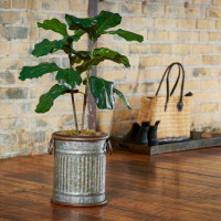Behrens Home Galvanized Steel Pot Planter Can