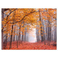 Design Art Beautiful Trees with Fallen Leaves - Wrapped Canvas Photograph Print