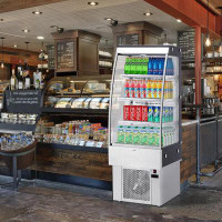 Zstar Commercial Cake Display Refrigerator