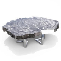 Arditi Collection Satyria Bleached Walnut Wood Coffee Table