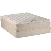 Alwyn Home Alwyn Home Sharice Queen 10'' Medium Pillow Top Mattress and Bed Frame Box Spring
