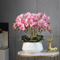 Padise Epoch Artificial Phalaenopsis Orchid For Living Room Decoration - Perfect For Coffee Tables, TV Cabinets, And Flo