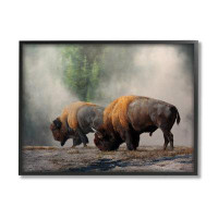 Stupell Industries Stupell Industries Bison Duo Grazing Foggy Nature Framed Giclee Art By Mark Kelso_889
